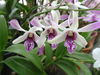 M_2010-07-29_029.JPG
